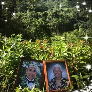 Meet your Posher, Verna